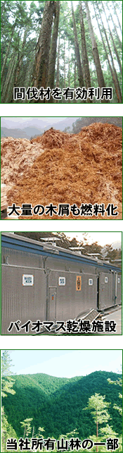 間伐材を有効利用し、大量の木屑も燃料化。バイオマス乾燥施設を導入しています。当社所有の山林にて切り出しを行っております。