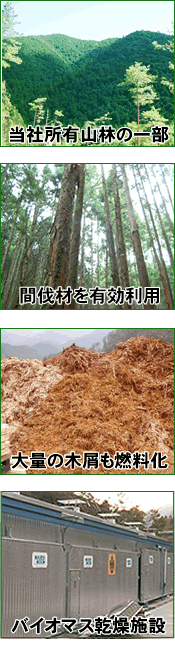 間伐材を有効利用し、大量の木屑も燃料化。バイオマス乾燥施設を導入しています。当社所有の山林にて切り出しを行っております。
