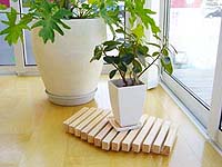 植物にも快適環境を!