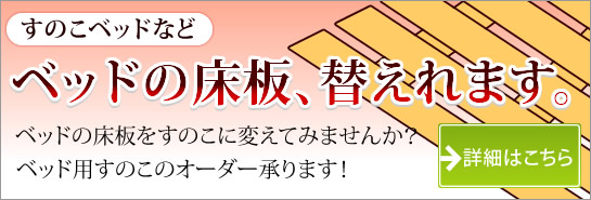 �x�b�h�p���̂�