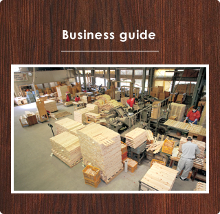 Business guide