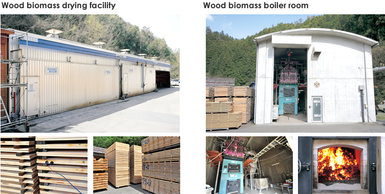 Wood biomass drying facility and Wood biomass boiler room