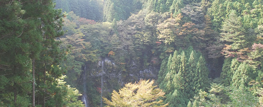 安居渓谷龍神の滝